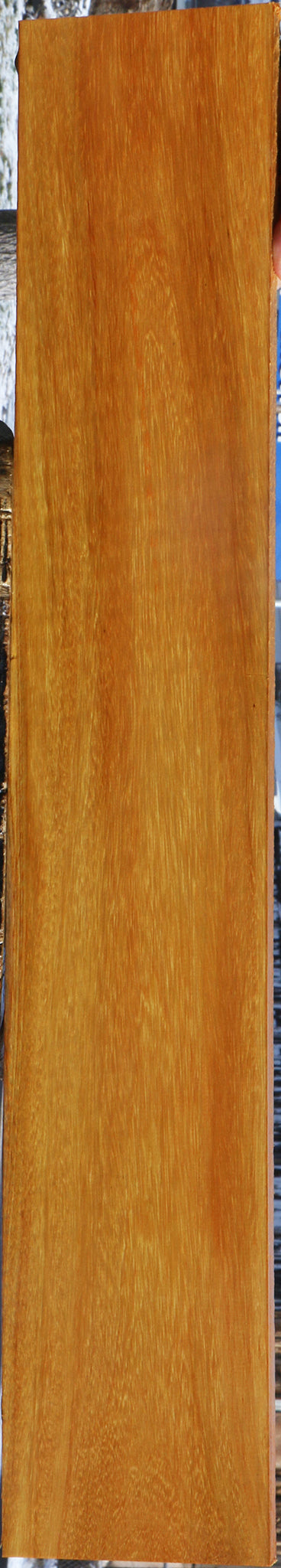 Argentine Osage Orange Lumber