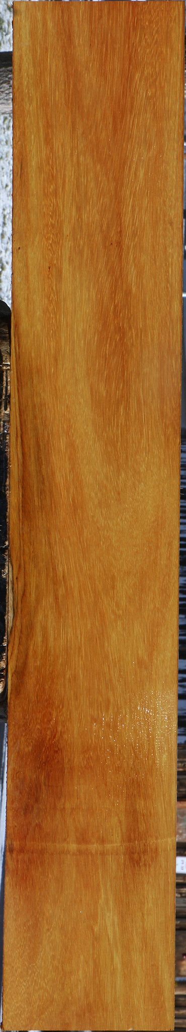 Argentine Osage Orange Lumber
