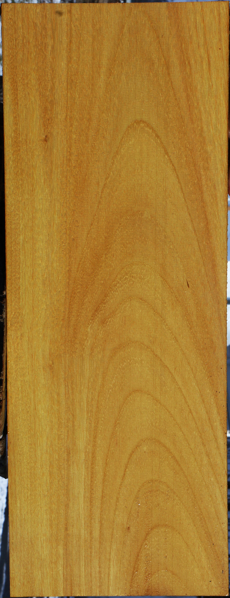 Argentine Osage Orange Lumber