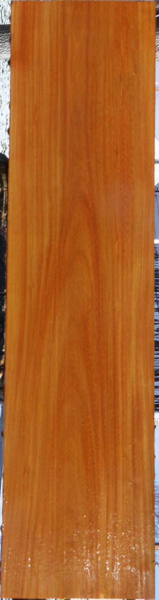 Argentine Osage Orange Lumber