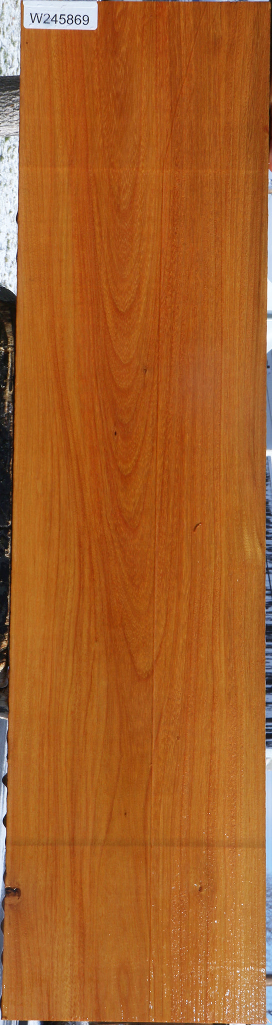 Argentine Osage Orange Lumber