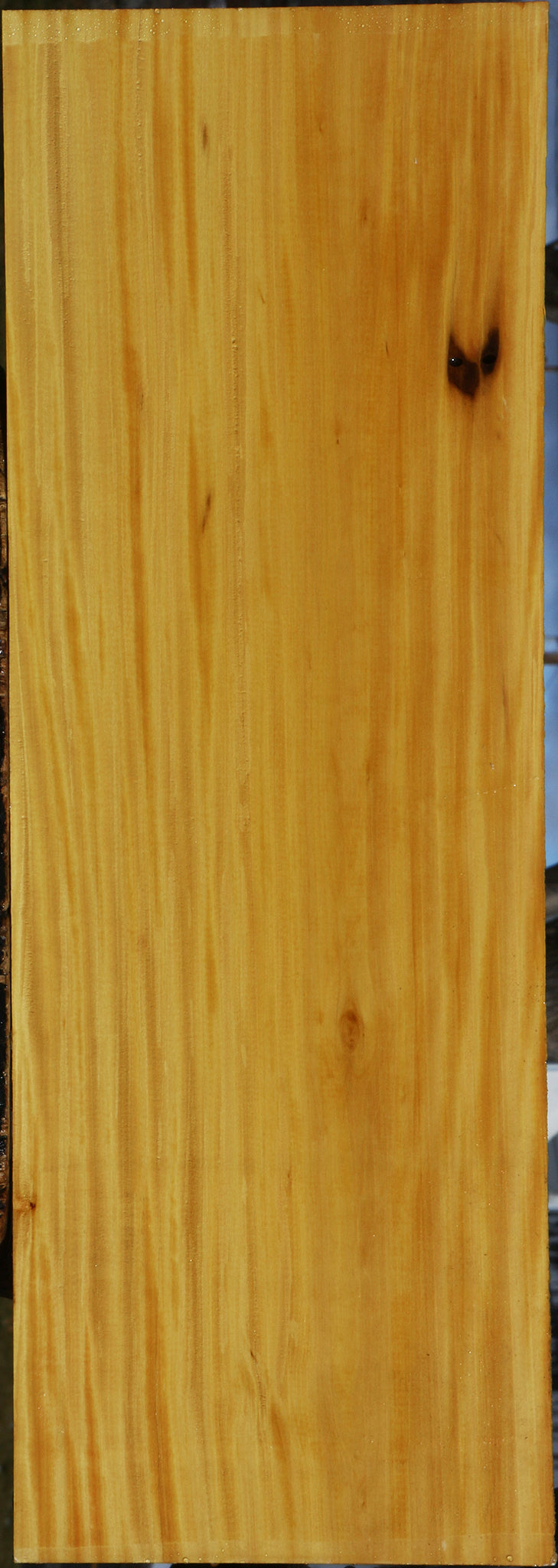 Figured Kirandy Lumber