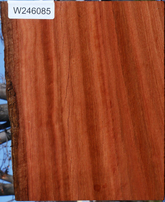 Red Ironbark Live Edge Lumber