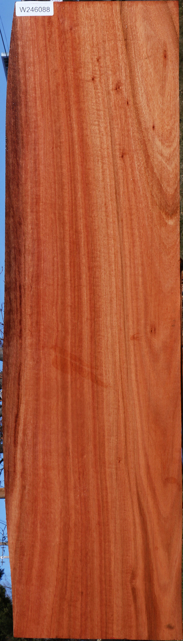 Red Ironbark Live Edge Lumber
