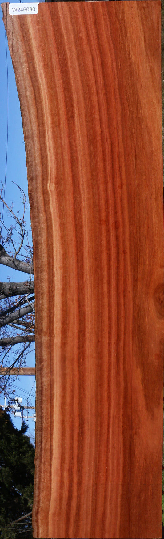 Red Ironbark Live Edge Lumber