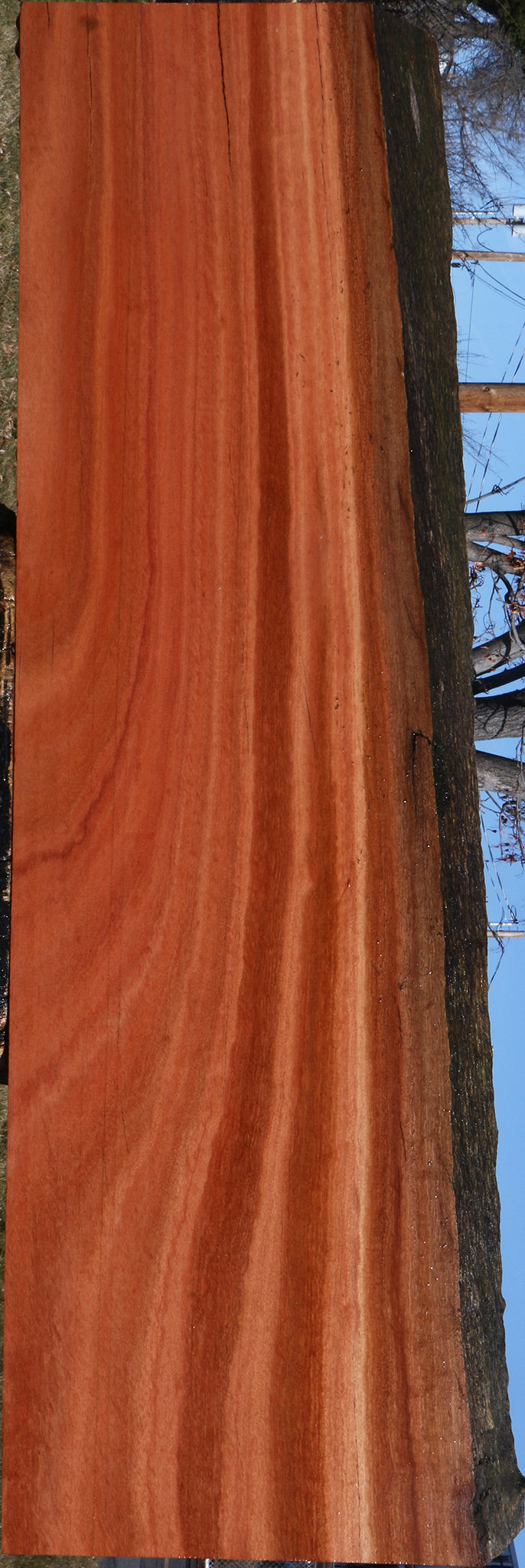 Figured Red Ironbark Live Edge Lumber