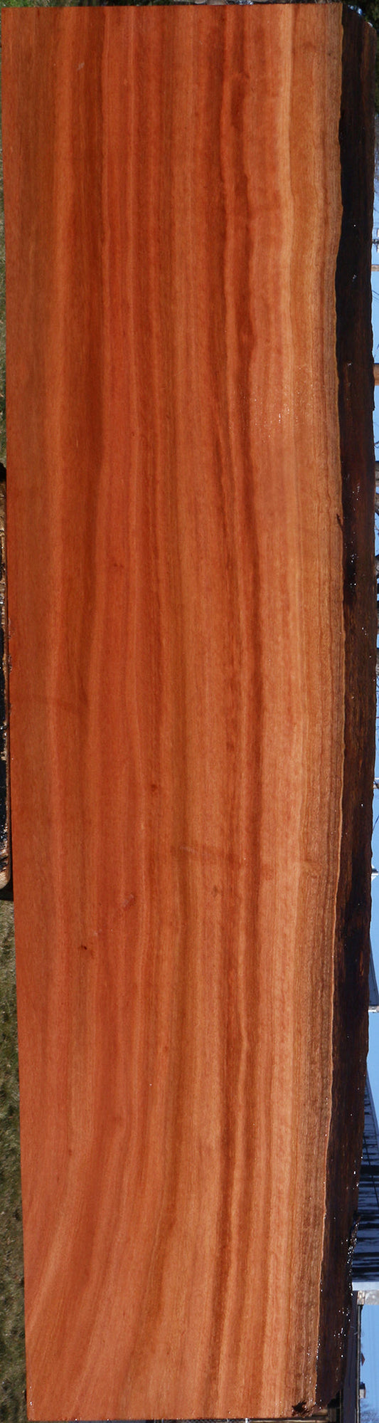 Red Ironbark Live Edge Lumber
