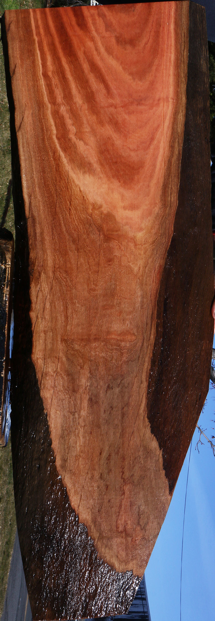 Figured Red Ironbark Live Edge Lumber