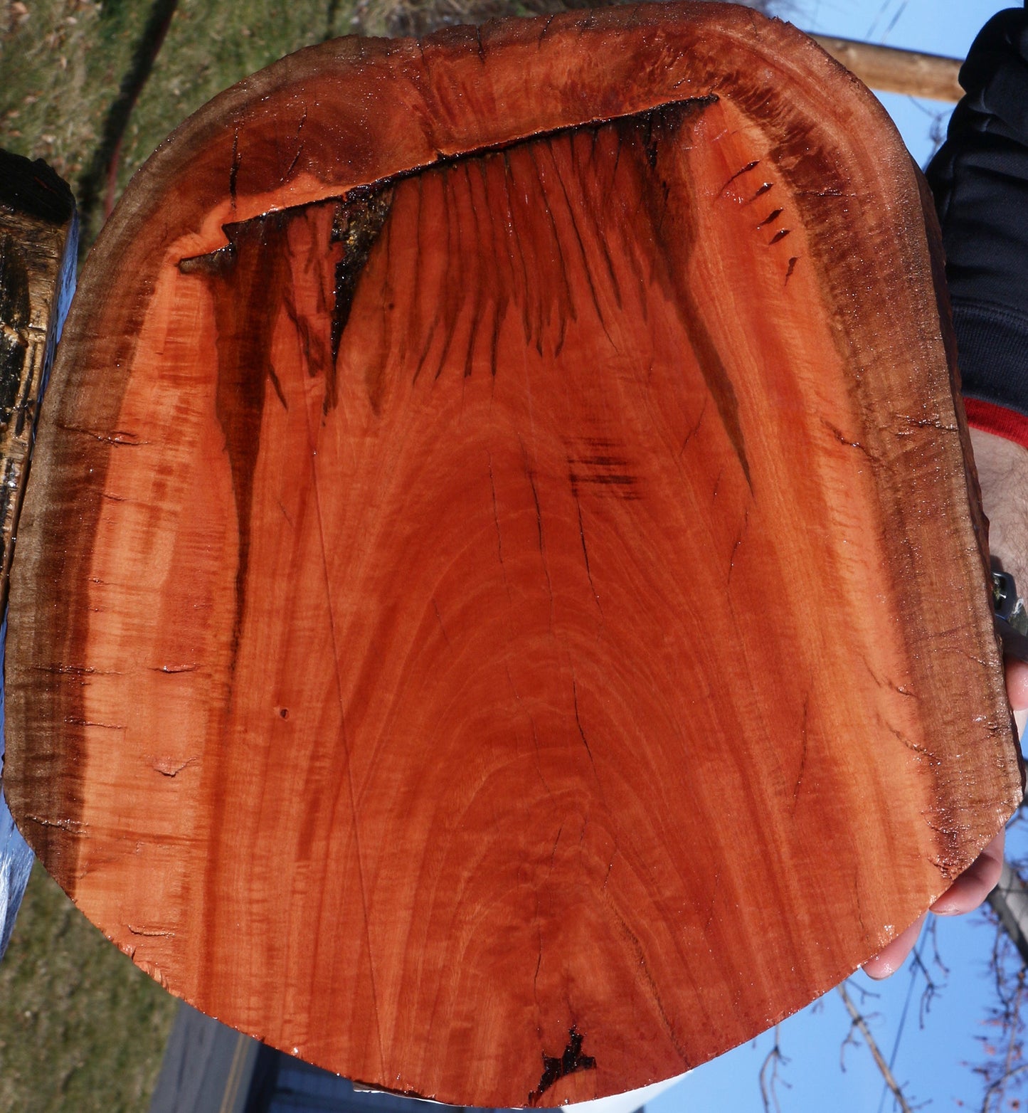 Figured Rustic Red Ironbark Live Edge Lumber
