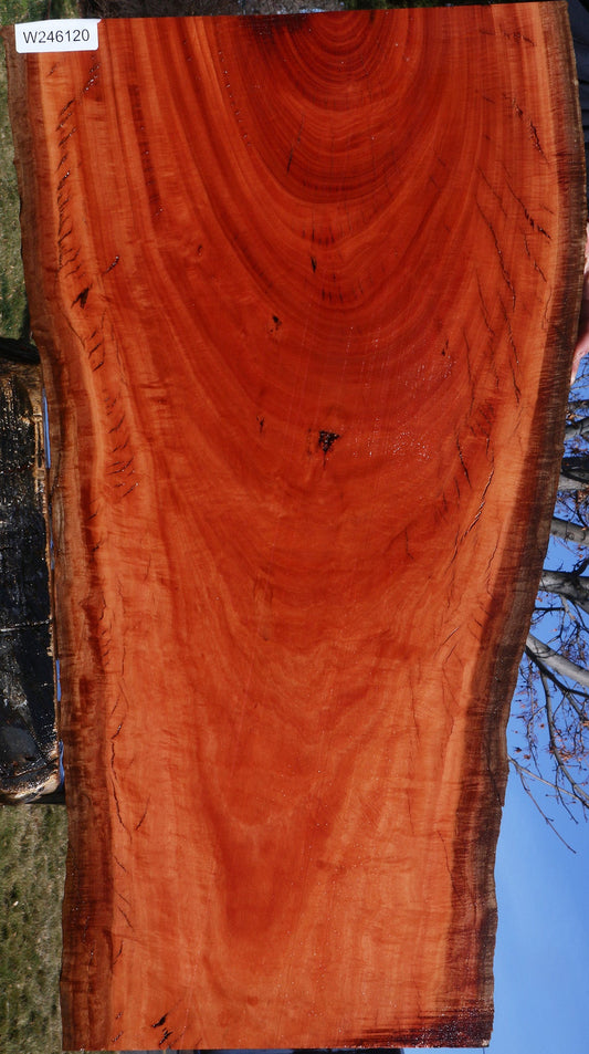 Figured Red Ironbark Live Edge Lumber