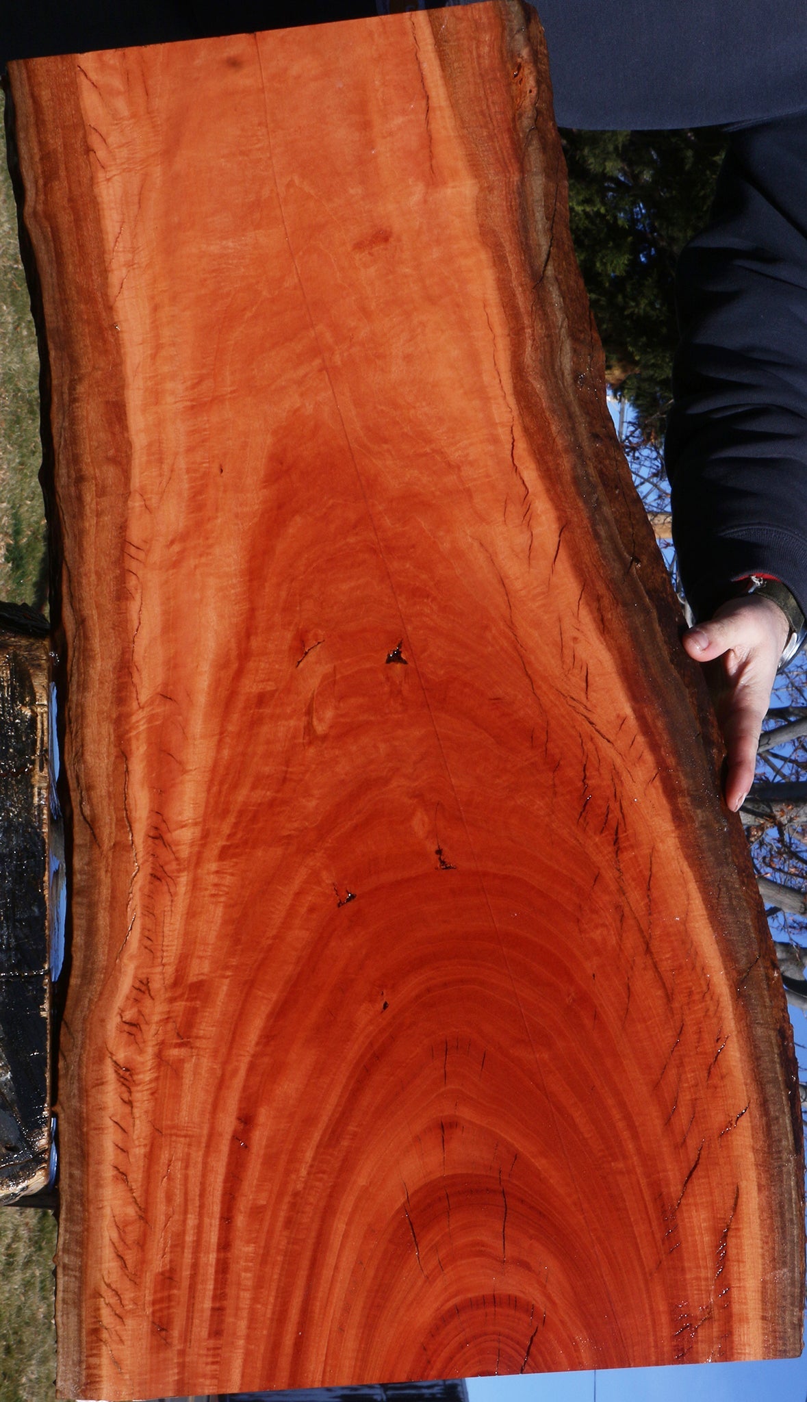 Figured Red Ironbark Live Edge Lumber