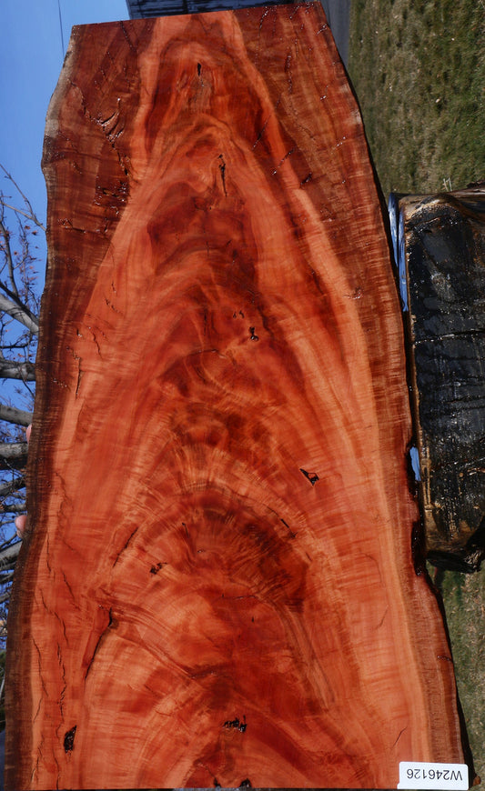 Extra Fancy Red Ironbark Live Edge Lumber