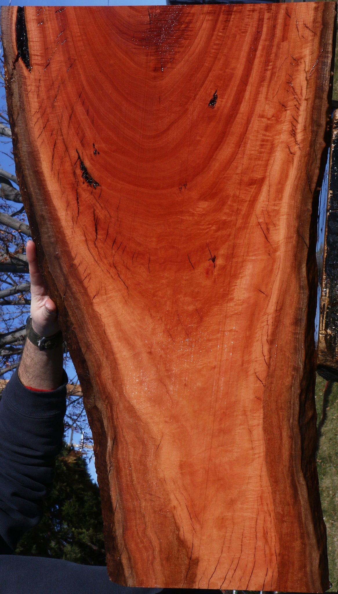 Figured Rustic Red Ironbark Lumber