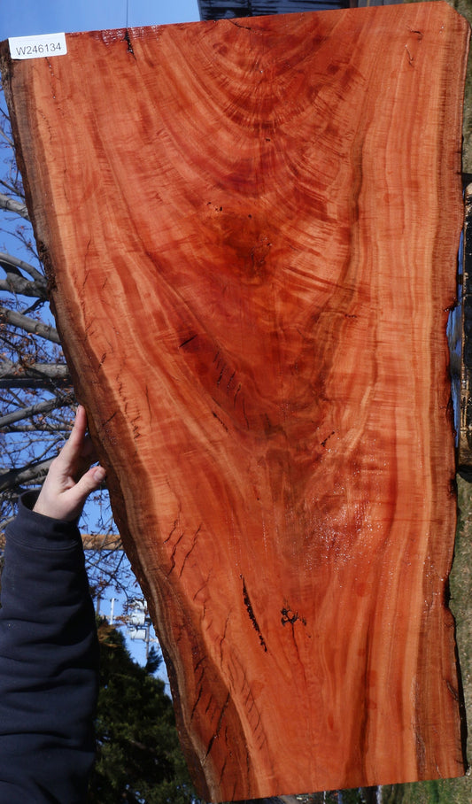 Extra Fancy Red Ironbark Live Edge Lumber