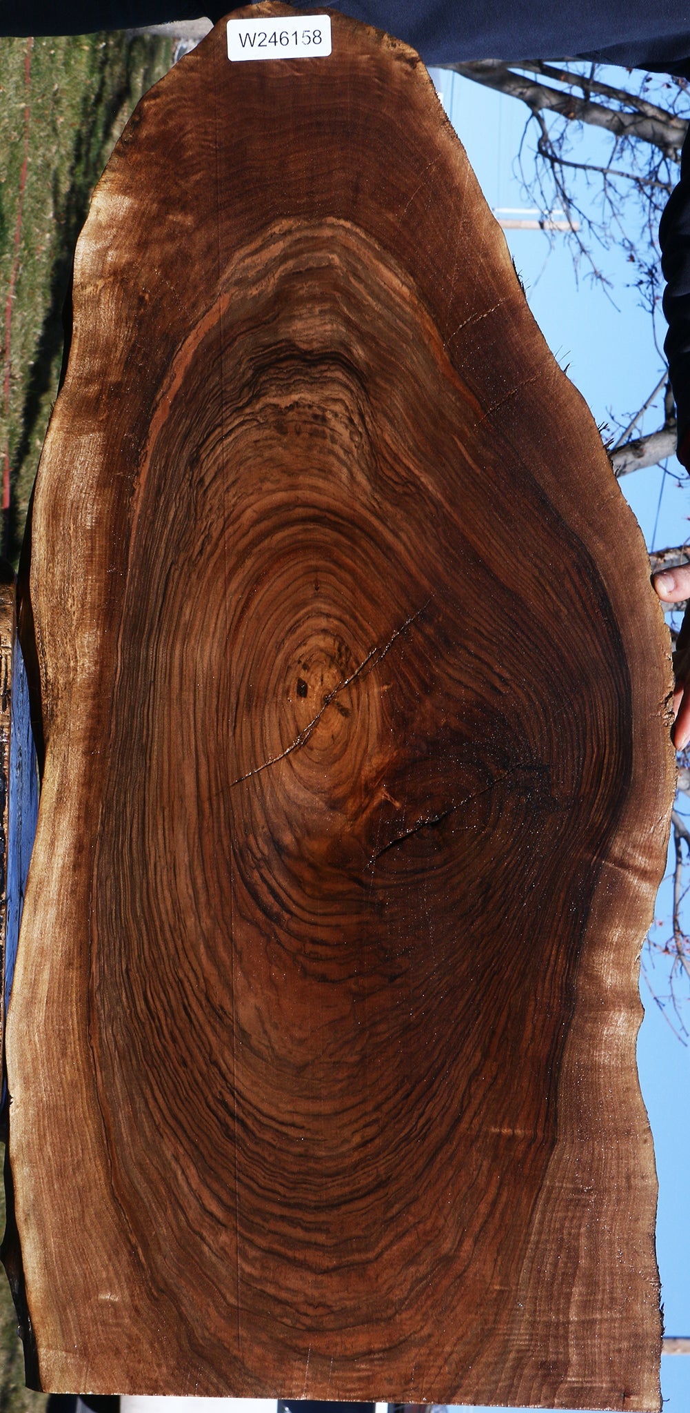 Figured English Walnut Live Edge Lumber