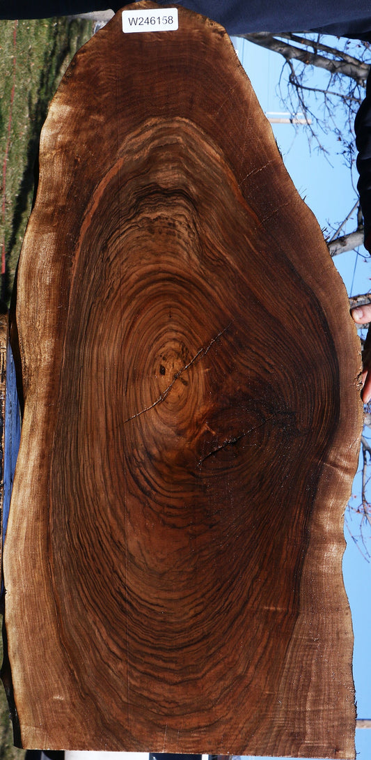 Figured English Walnut Live Edge Lumber