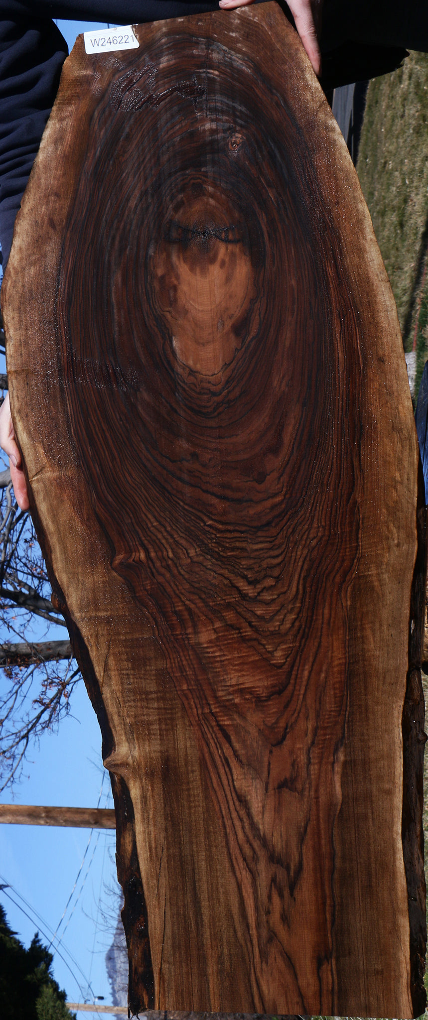 Extra Fancy English Walnut Live Edge Lumber
