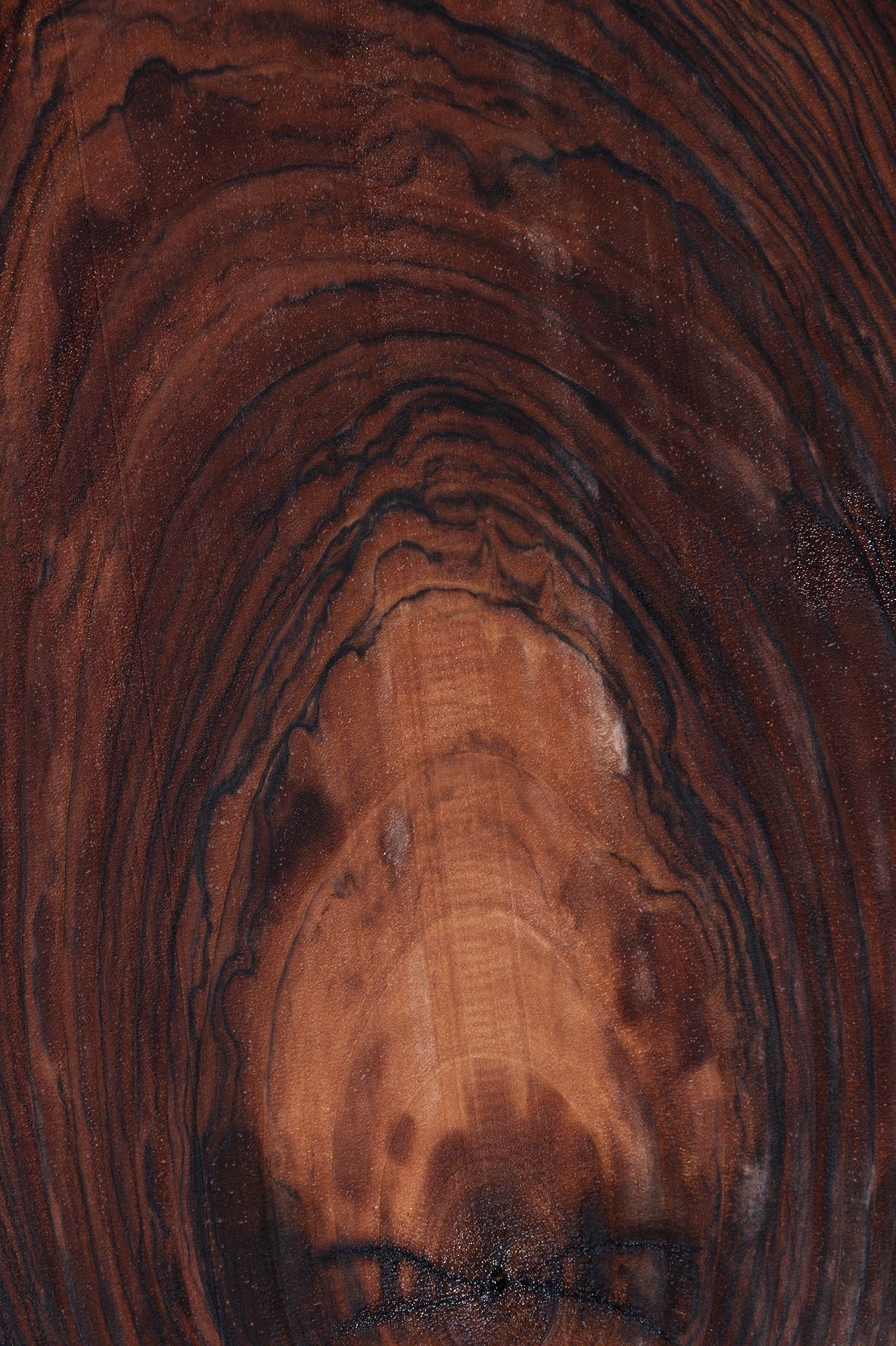 Extra Fancy English Walnut Live Edge Lumber