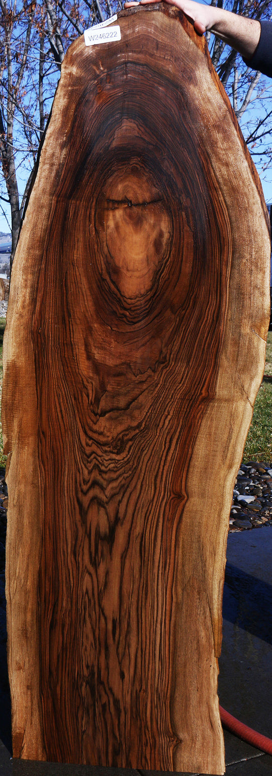 Figured English Walnut Live Edge Lumber