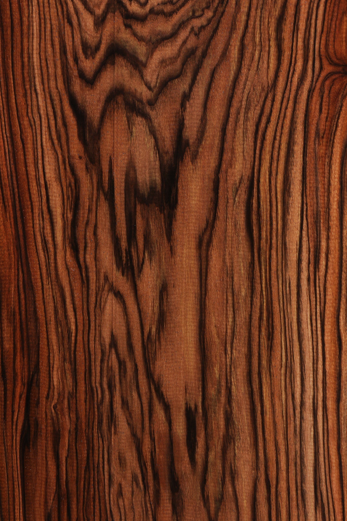 Figured English Walnut Live Edge Lumber