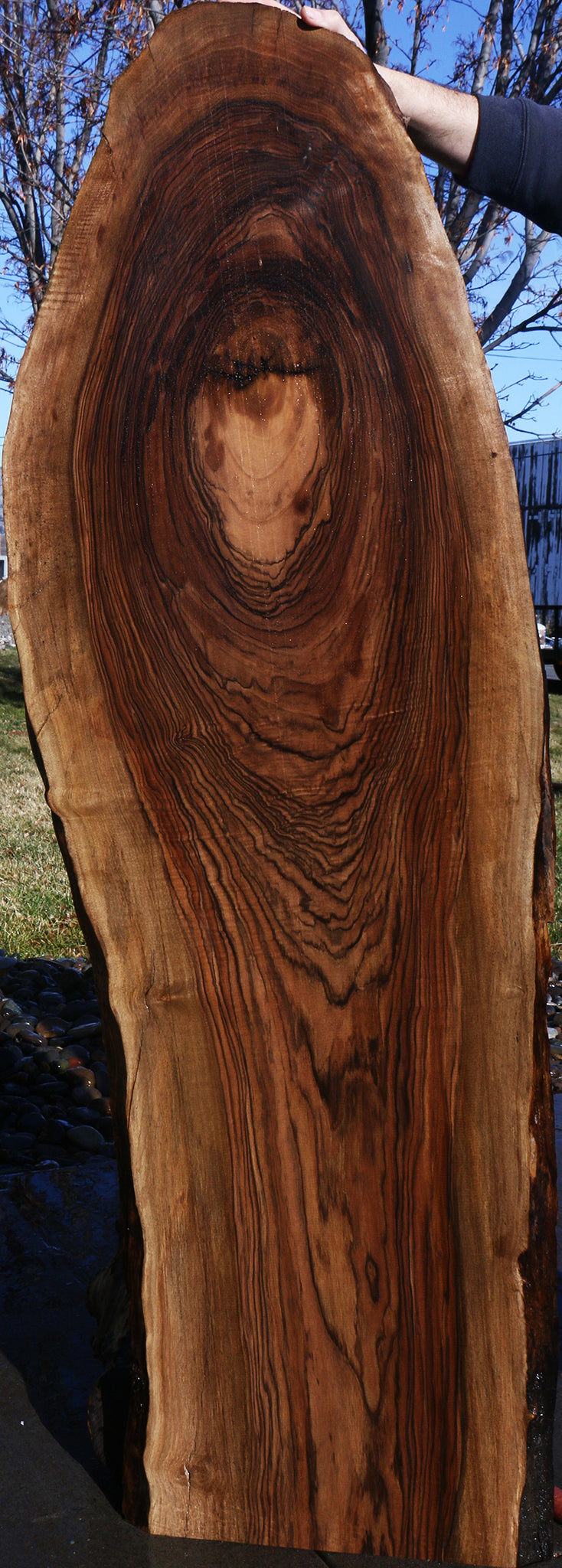Figured English Walnut Live Edge Lumber