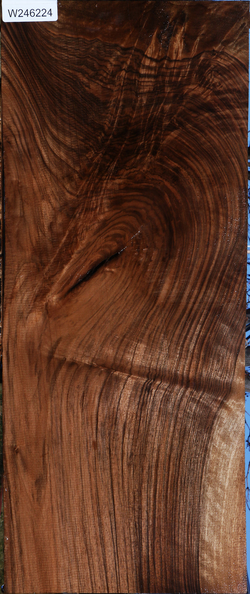Extra Fancy English Walnut Lumber