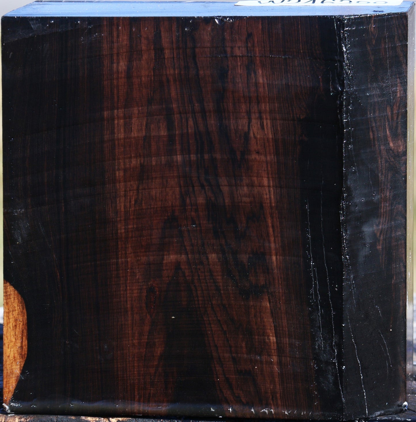 African Blackwood Bowl Blank