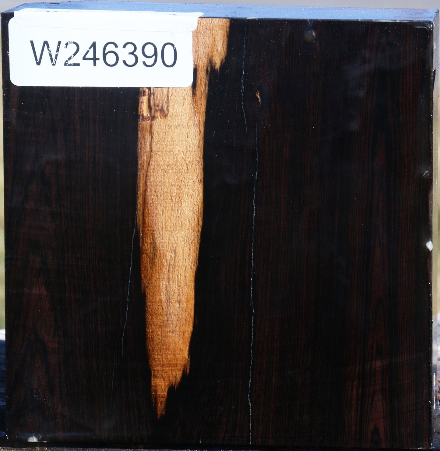 African Blackwood Bowl Blank