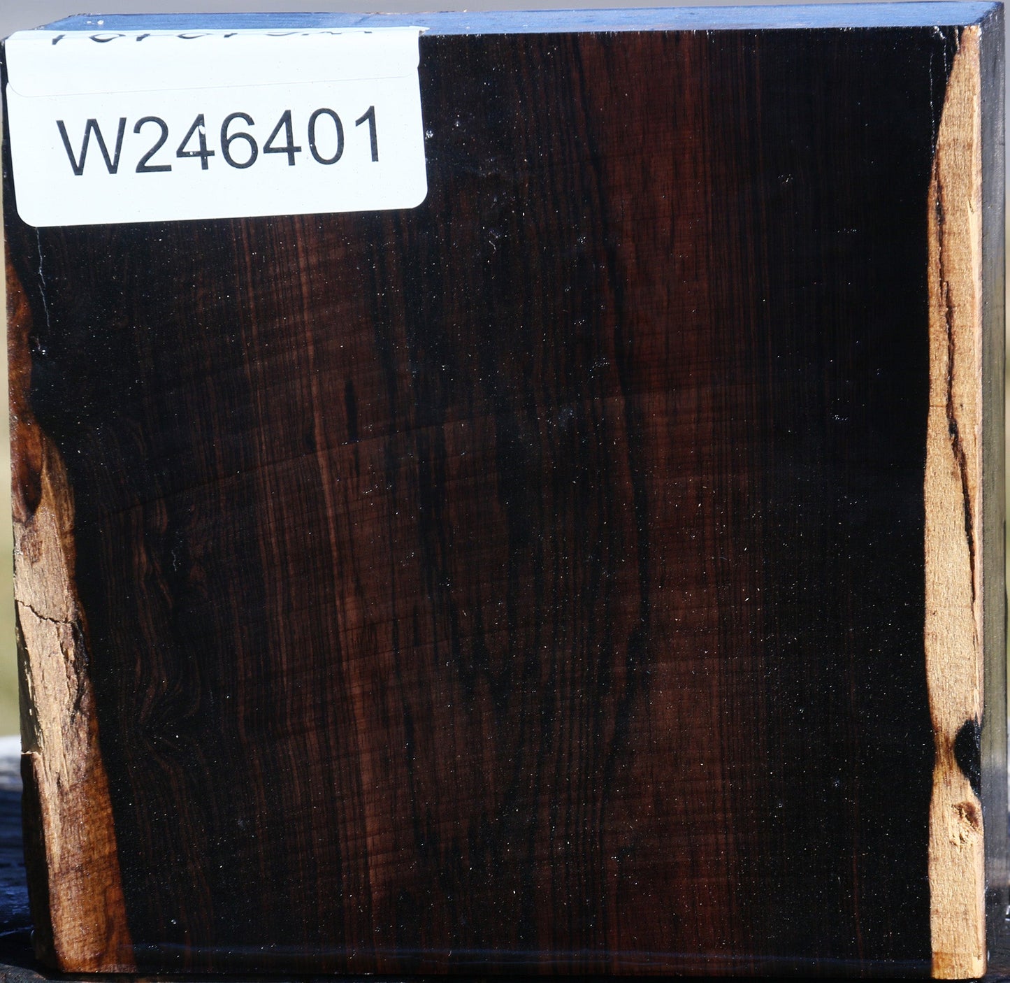 African Blackwood Bowl Blank