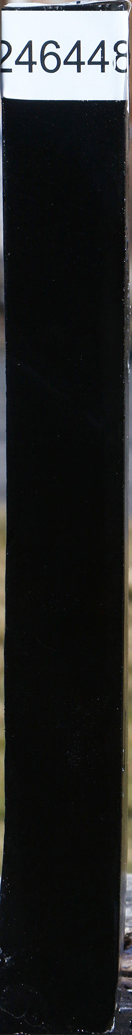 African Blackwood Turning Square
