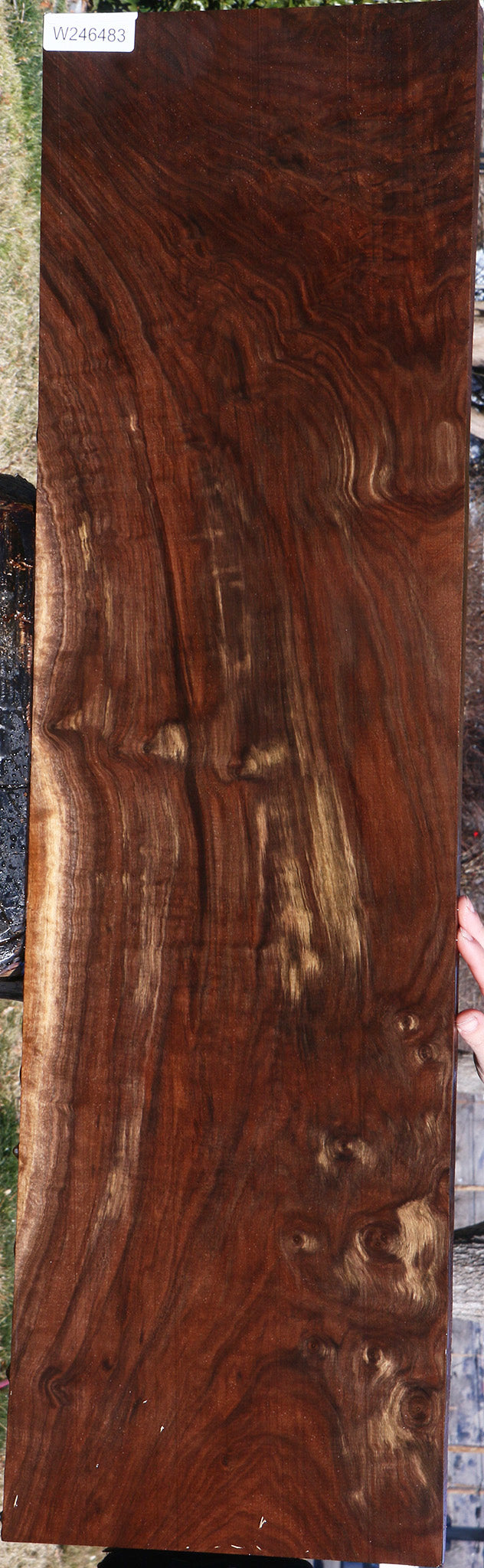 Extra Fancy Claro Walnut Lumber