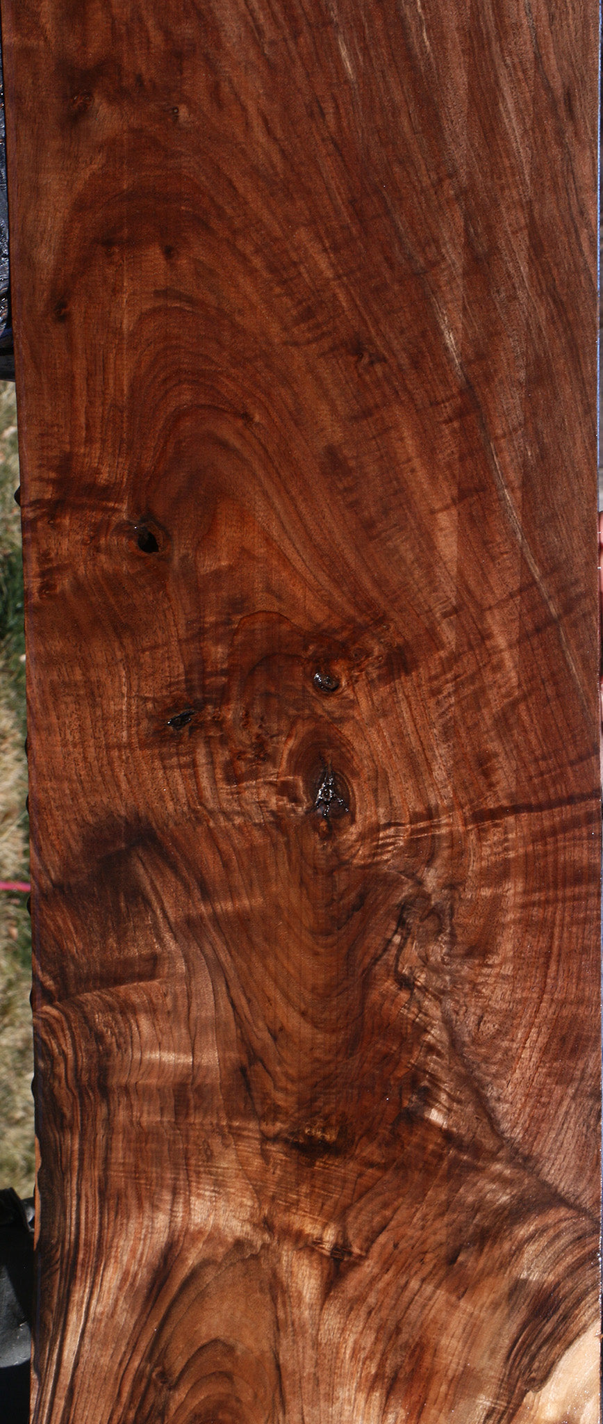 Extra Fancy Claro Walnut Lumber