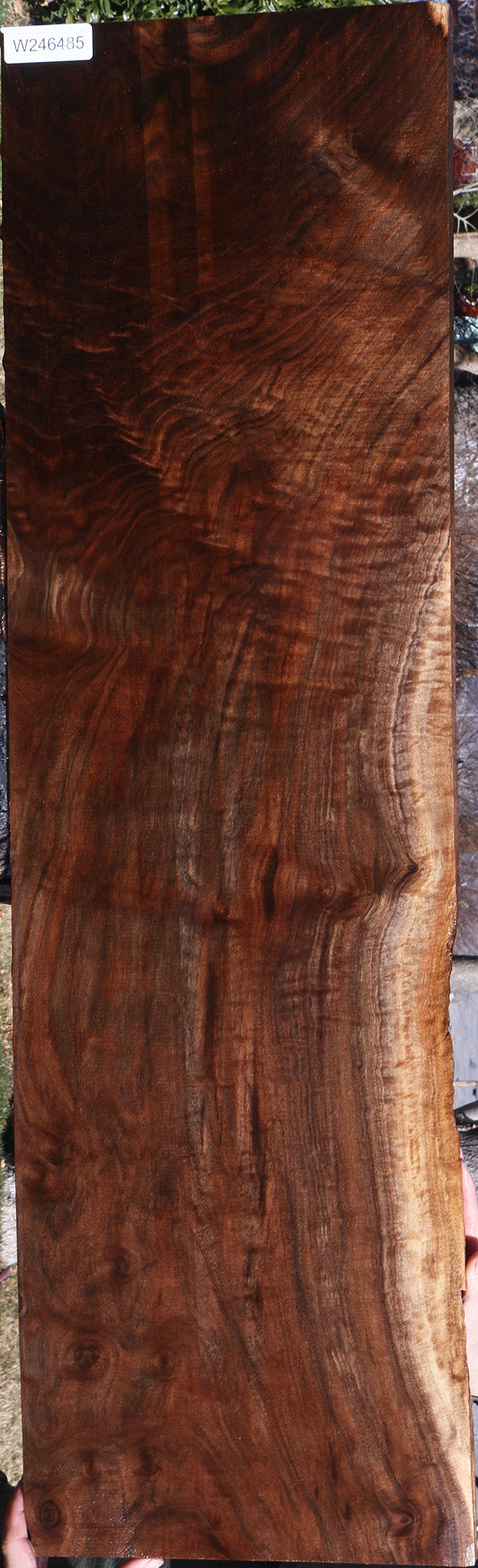 Extra Fancy Claro Walnut Lumber