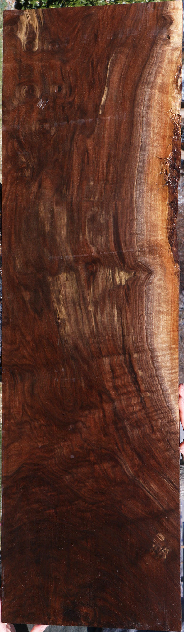 Extra Fancy Claro Walnut Lumber