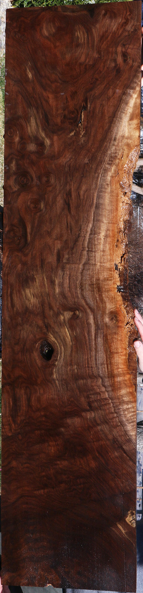 Extra Fancy Claro Walnut Lumber