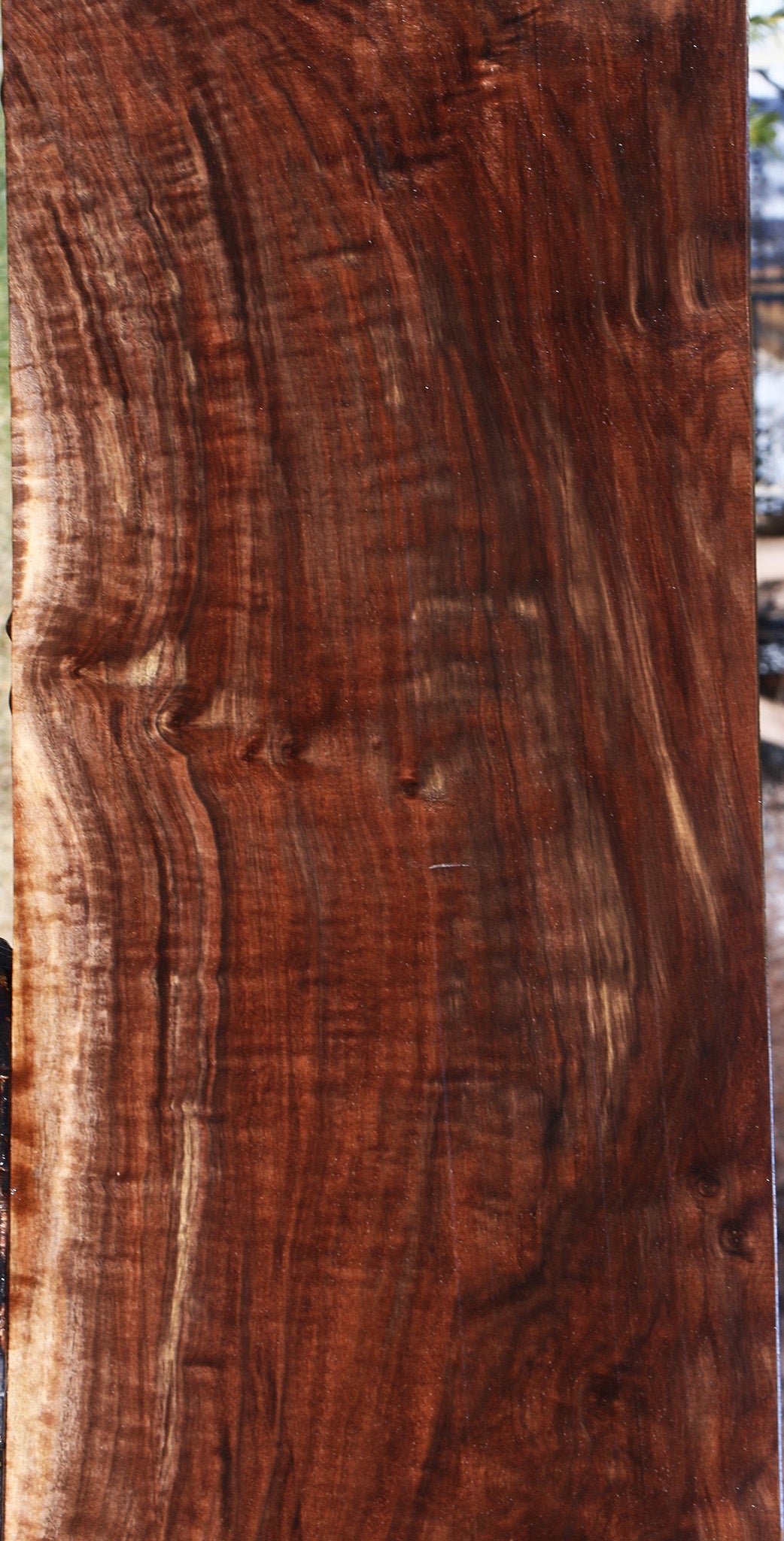 Extra Fancy Claro Walnut Lumber