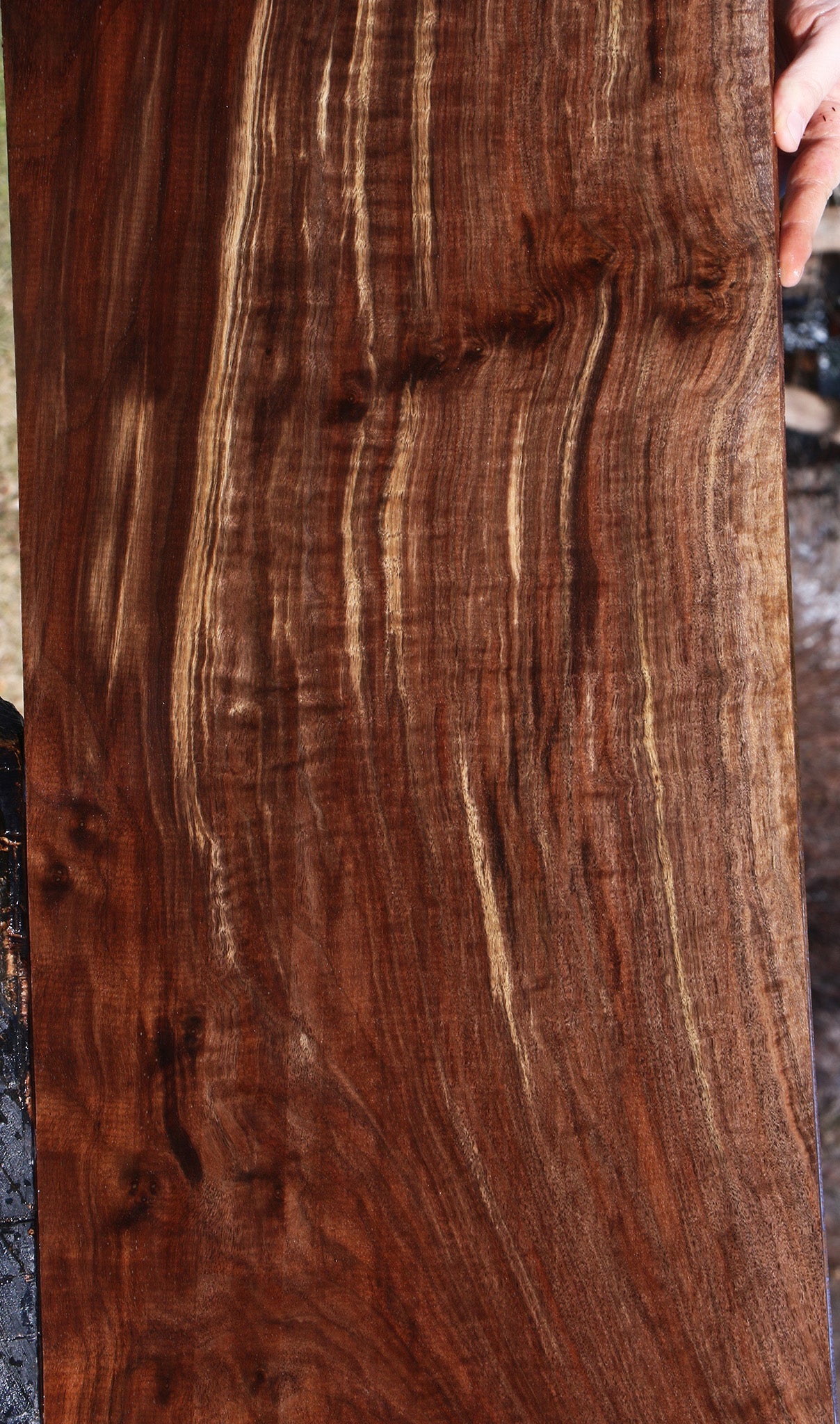 Extra Fancy Claro Walnut Lumber