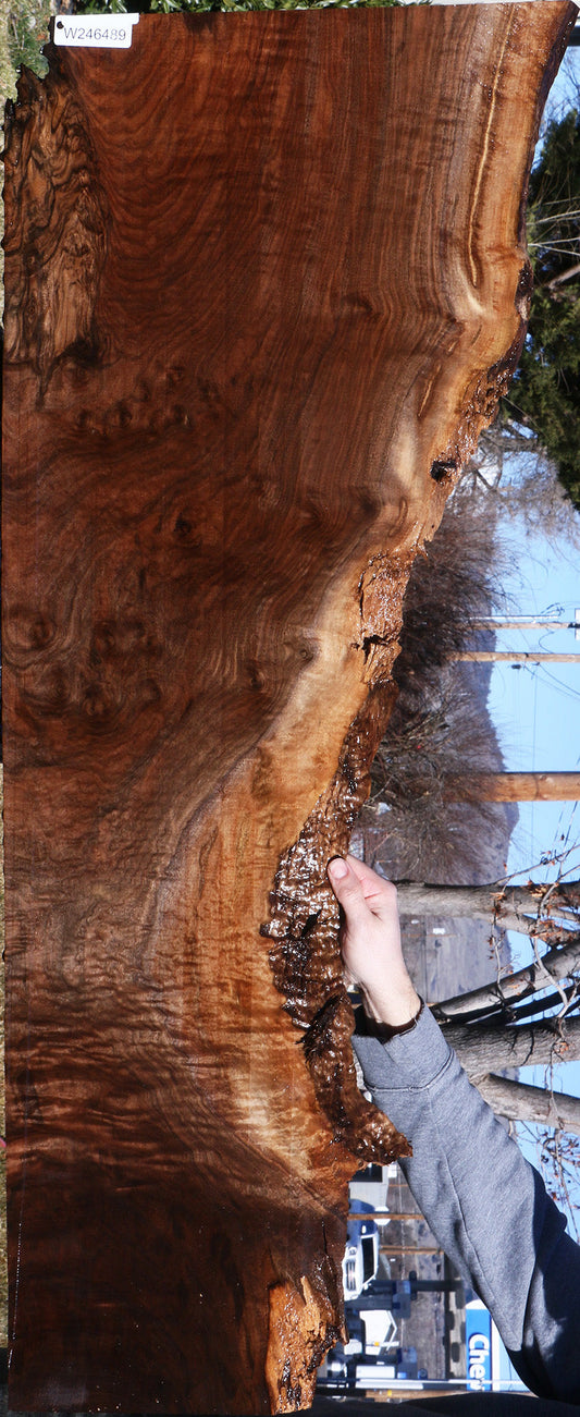 Extra Fancy Claro Walnut Live Edge Lumber
