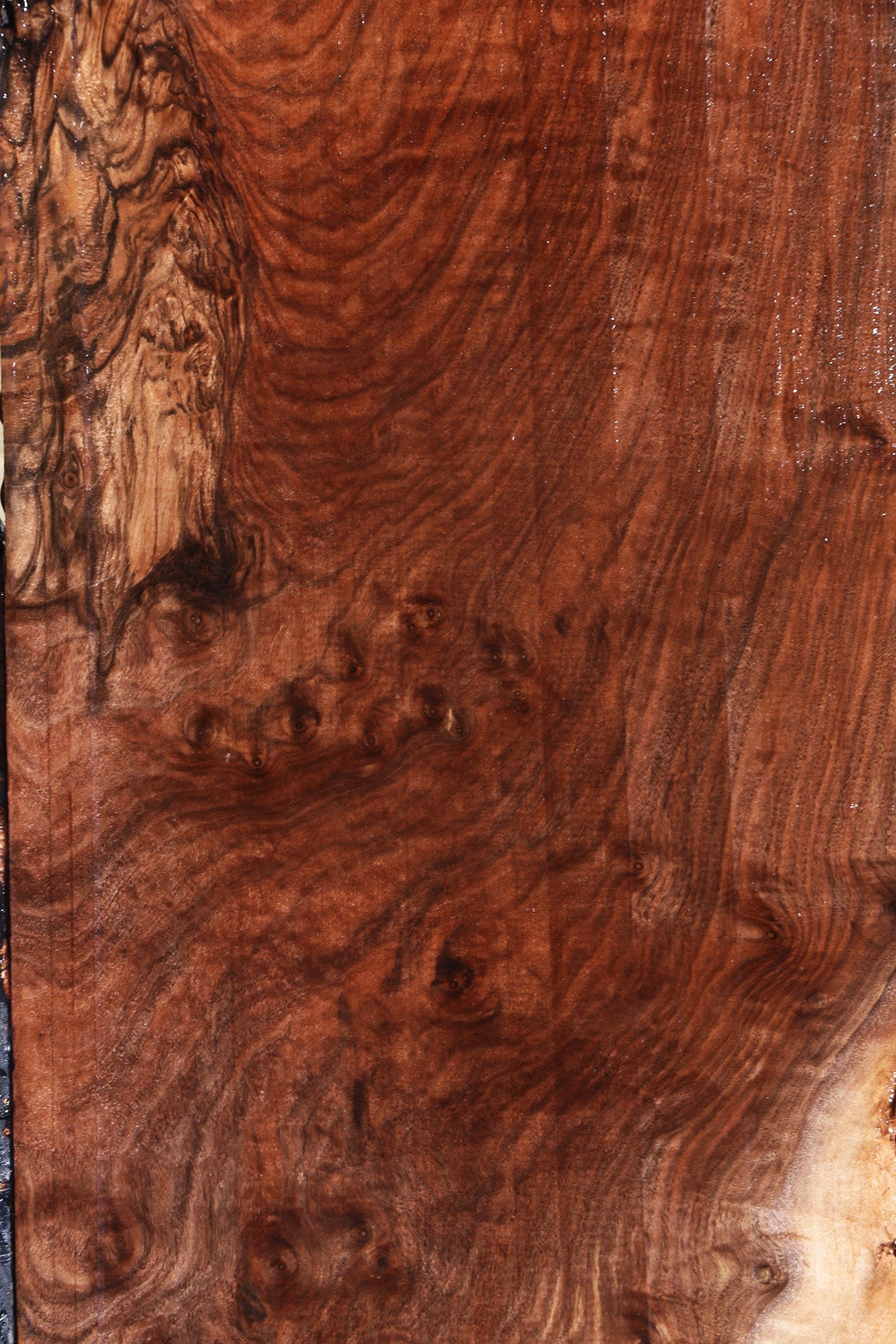 Extra Fancy Claro Walnut Live Edge Lumber