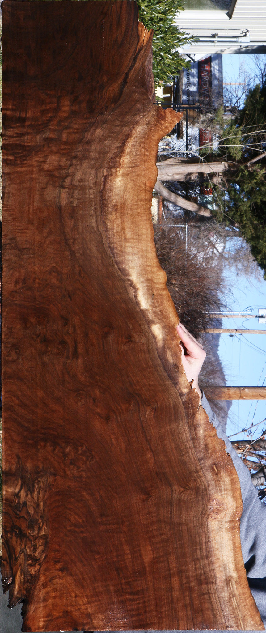 Extra Fancy Claro Walnut Live Edge Lumber
