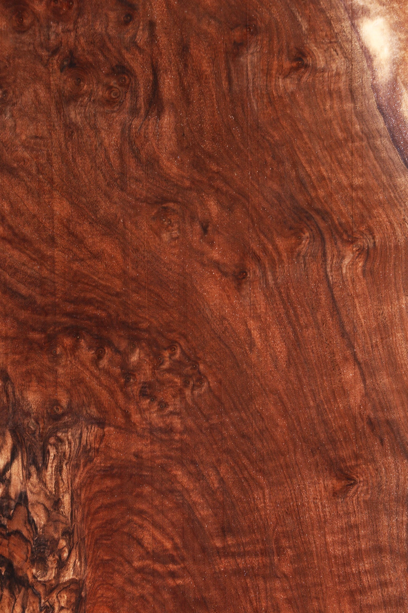 Extra Fancy Claro Walnut Live Edge Lumber
