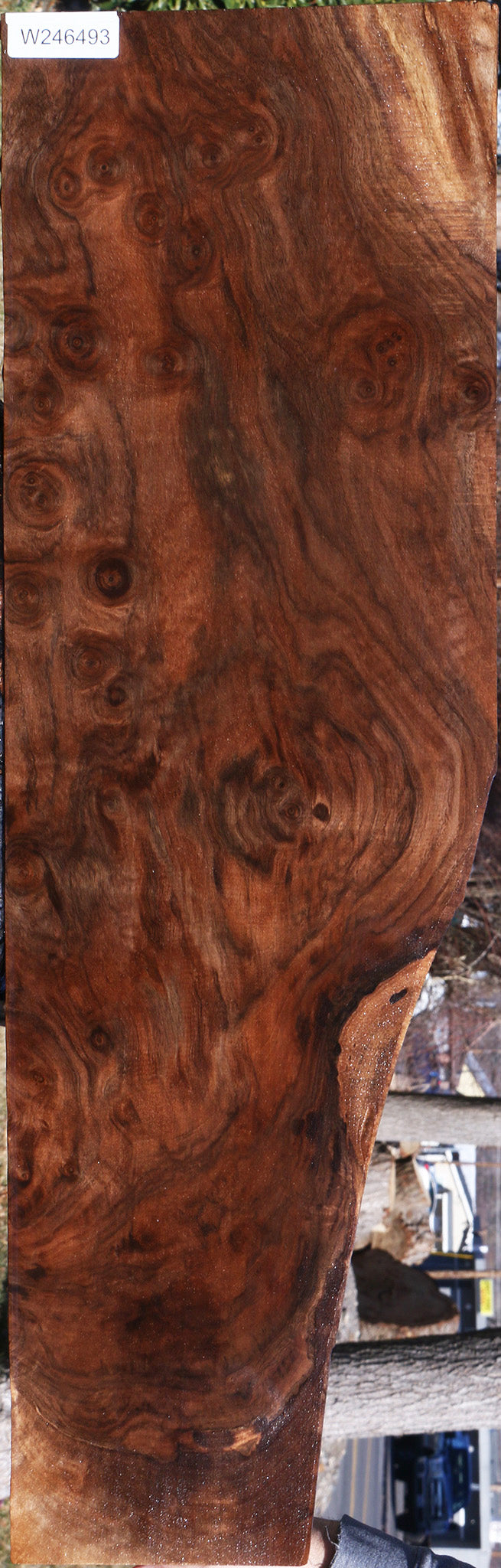 Extra Fancy Claro Walnut Burl Lumber