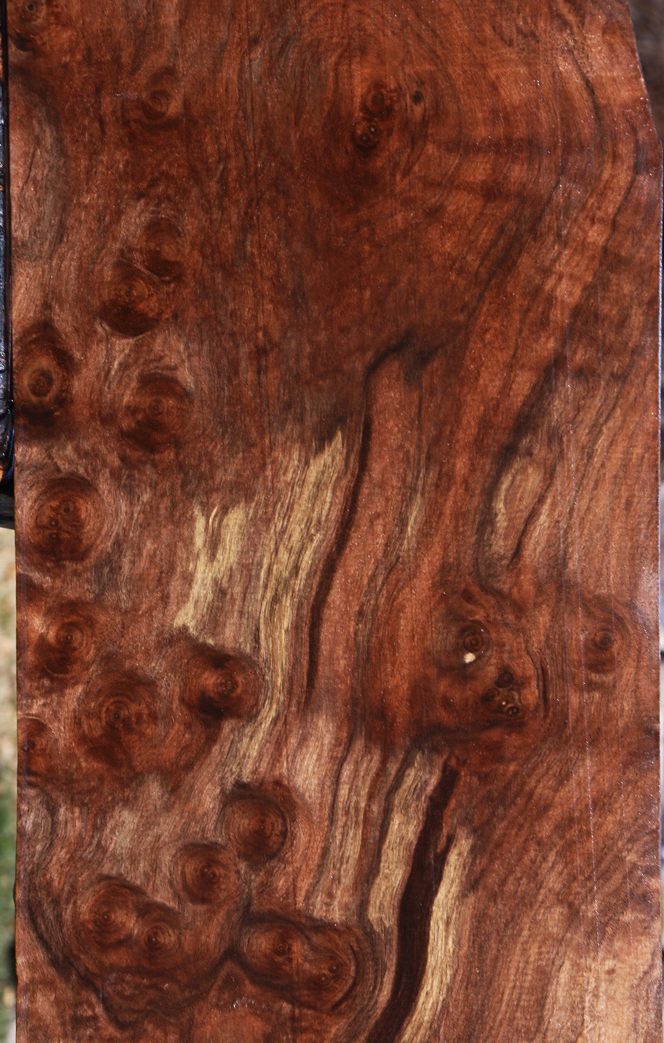 Extra Fancy Claro Walnut Burl Lumber