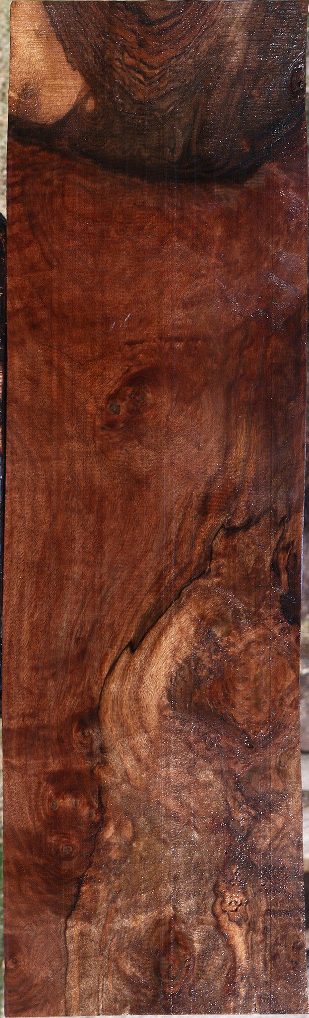 Extra Fancy Claro Walnut Lumber