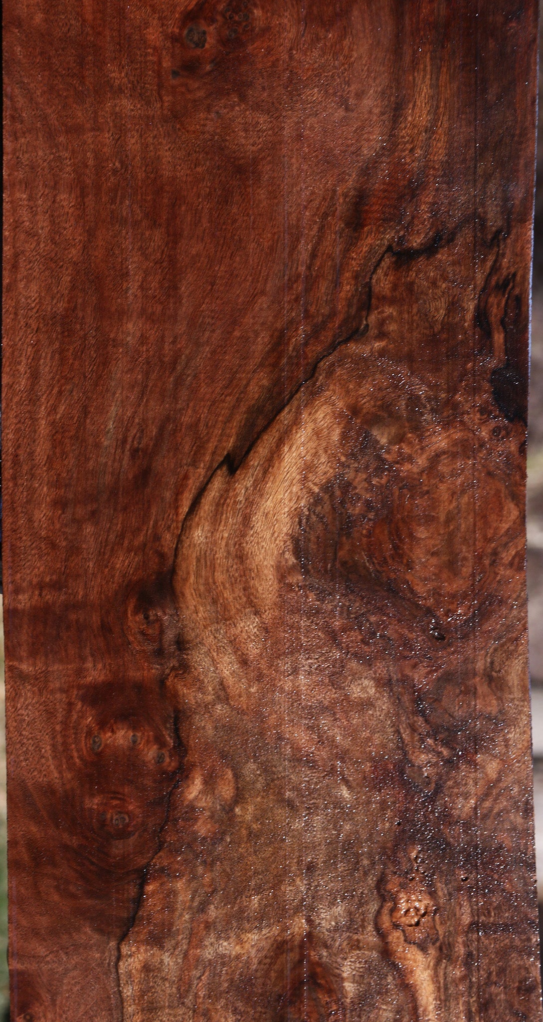 Extra Fancy Claro Walnut Lumber