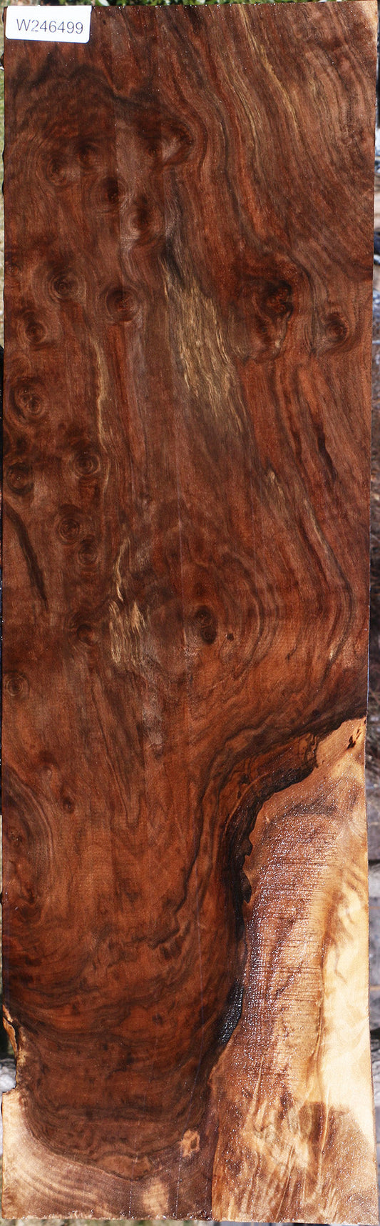 Extra Fancy Claro Walnut Lumber