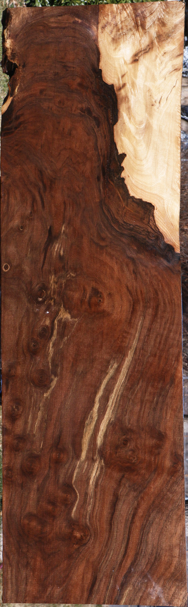 Extra Fancy Claro Walnut Lumber