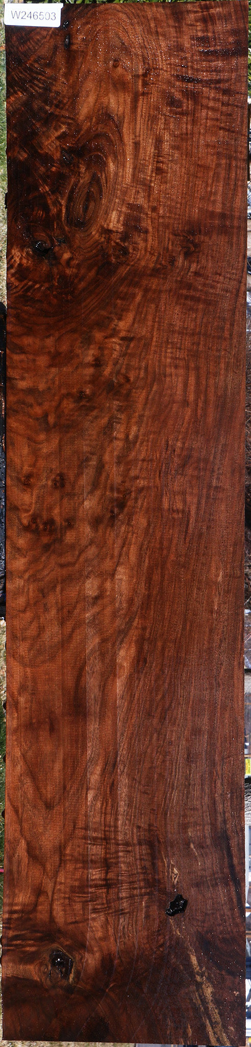 Extra Fancy Claro Walnut Lumber