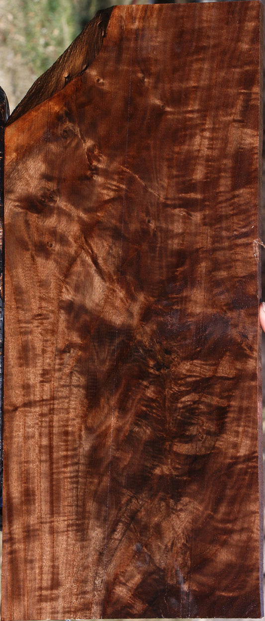 Extra Fancy Claro Walnut Lumber