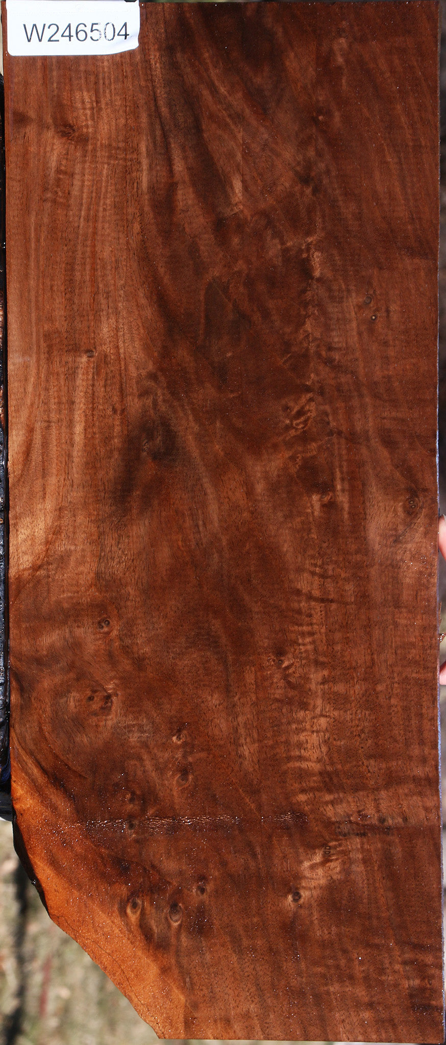 Extra Fancy Claro Walnut Lumber